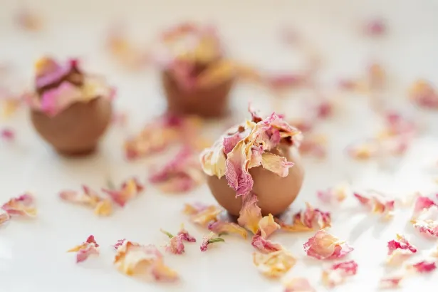 Pelican Cazino Cazinou Aplicație Android/iOS